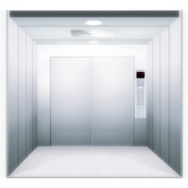 Ascenseur de fret en acier inoxydable sans salle des machines