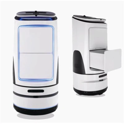 Robots d'accueil