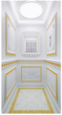 Ascenseur domestique intérieur