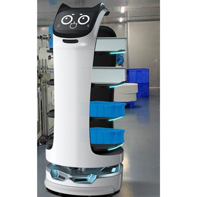 Robot de service