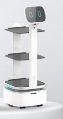 Robot de service alimentaire